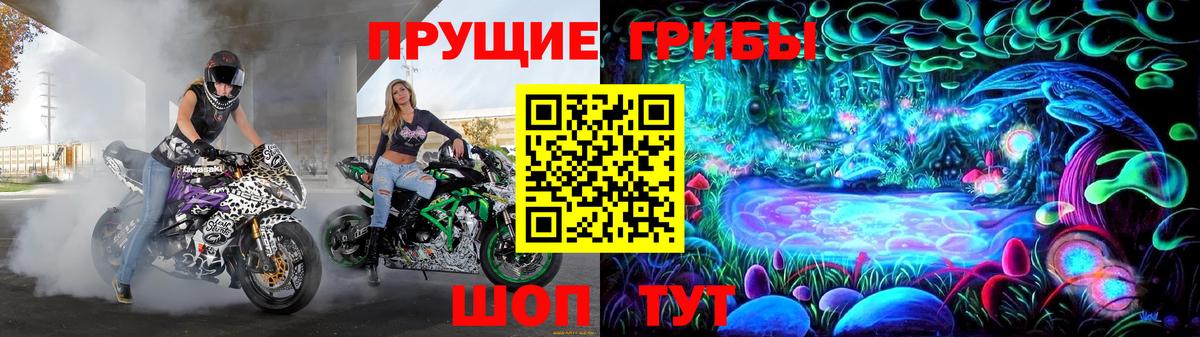 Истра  Галлюциногенные грибы мухоморы  Вход с VPN 